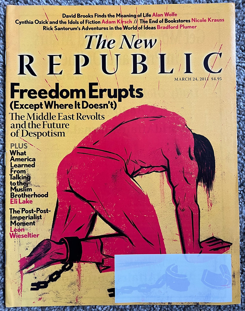 The New Republic Magazine - David Brooks encontrou o sentido da vida